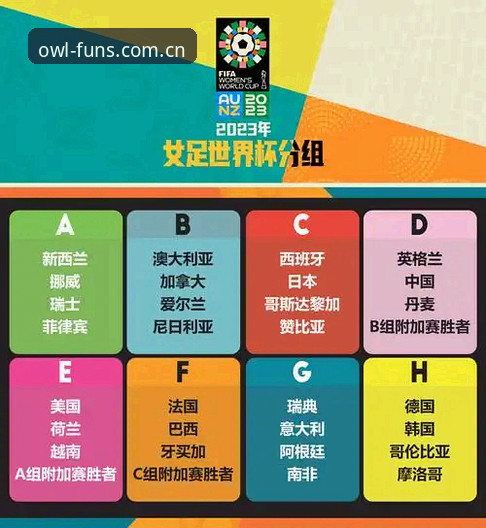 世界杯安保策略转向：英格兰警务外派缩减背后的全面解析